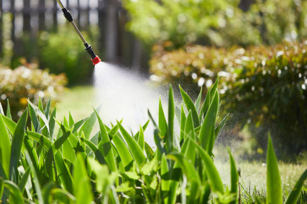 Tamper-Resistant Bait Stations for Rodents in Mayo