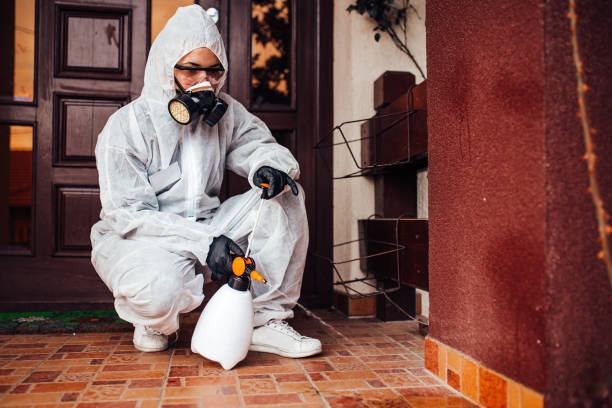 Attic and Crawl Space Rodent Treatment in Mayo